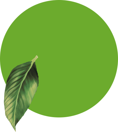 Therapy for Anxiety Disorders Cork
